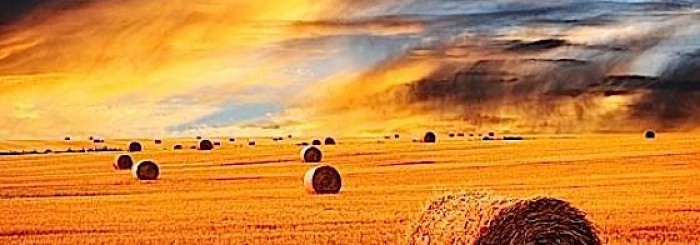Empowering the Rural Buddhist: Tips for Remote Practice
