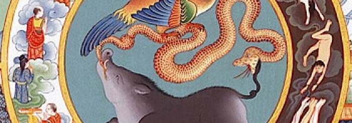 Rebirth Part 2: Is There Scientific Evidence of Rebirth?
