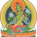 Limitless Tara, Beyond the Green: Buddha, Bodhisattva, Savior, Mother of all the Buddhas, Hindu Maa Tara, Goddess of Many Colors, Consort of Buddhas, Wisdom Mother, Action Hero…
