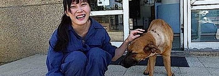 Veterinarian’s Suicide with Animal Euthanasia Drugs a Protest Against Animal “Mercy” Killings: What Do Buddhist Teachers Say About Animal Euthanasia?