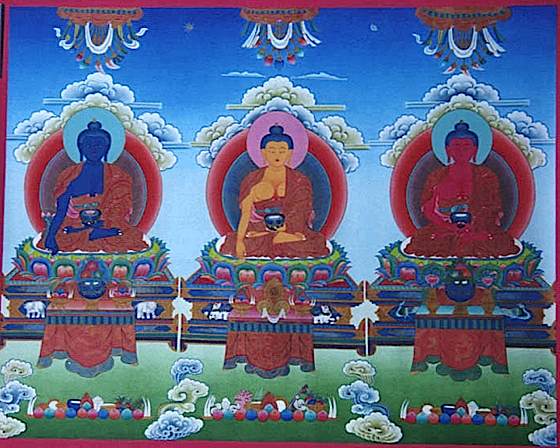 Buddha Weekly 0Medicine Buddha Shakyamuni Amitabha