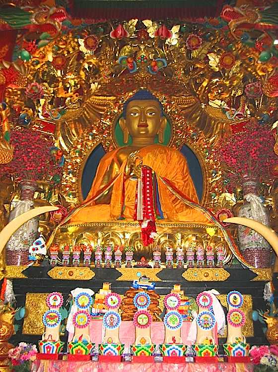 Guatama Buddha on Shrine