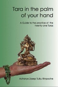 Buddha Weekly Tara in the palm of your hand zasep tulku rinpoche Buddhism