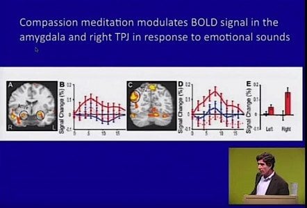 Buddha Weekly Compassion Modulates Bold Signal in the Amygdala