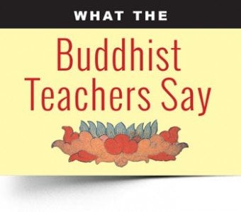 "What the Buddhist Teachers Say" is a long-running feature series. We pick a topic, then seek the opinions/ quote/ guidance of at least five teachers. DO YOU HAVE A TOPIC YOU'D LIKE TO PROPOSE?