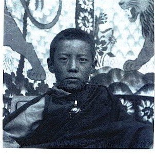 Zasep Tulku at 11 years of age.