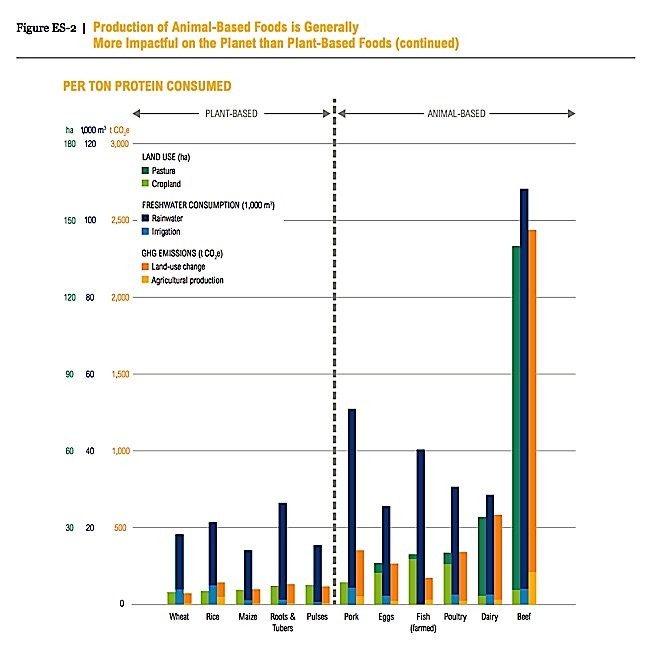 Per Ton Protein Consumed comparison.