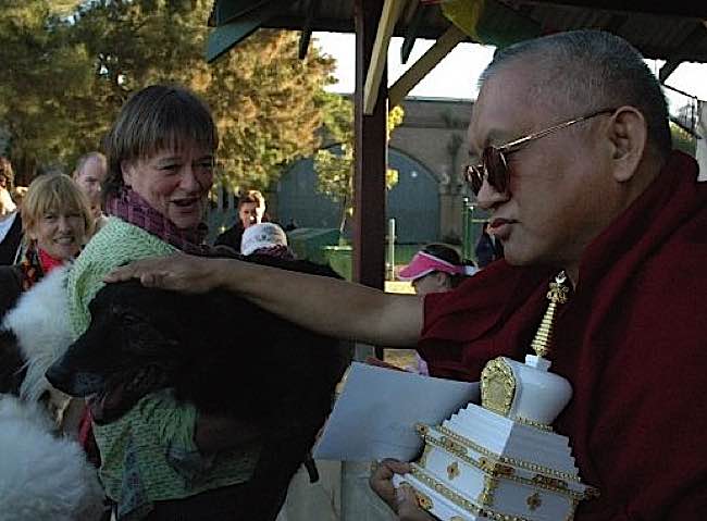 Lama Zopa Rinpoche giving blessings of a dog at teachings.