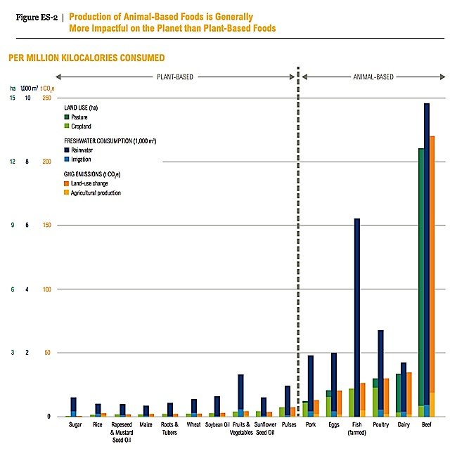 Data: Production of Animal-Based Foods is Generally More Impactful on the Planet than Plant-Based Foods. Comaprison "Per Million Kilocalories Consumed."