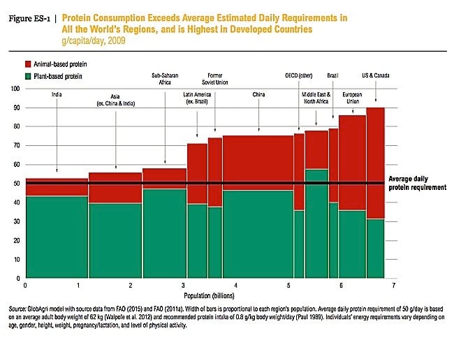 Protein consumption exceeds estimated daily requirements around the world.