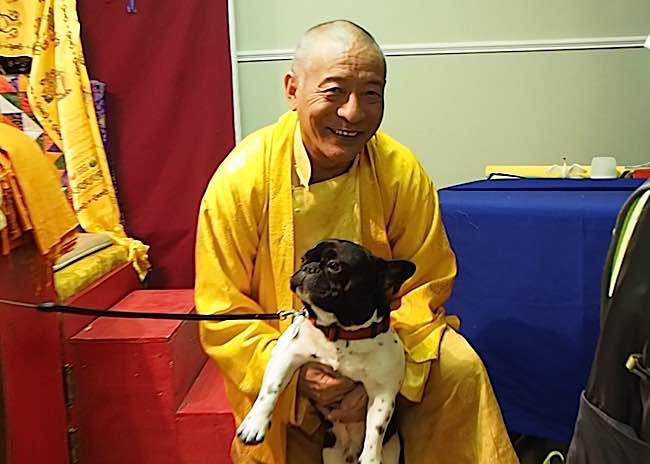 Venerable Zasep Tulku Rinpoche blessed this dog at the end of a Medicine Buddha Retreat in Owen Sound in April 2016. After the event he played with the fifteen-month old pup. Zasep Rinpoche teaches, "We must not hurt other people and animals."