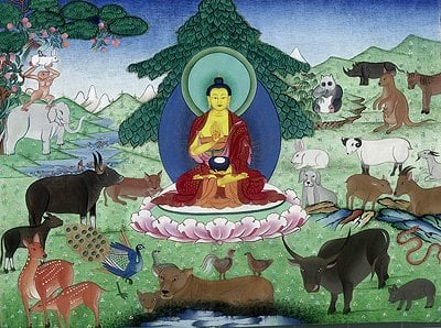 Buddha and the animals 2