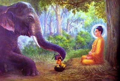 Buddha taught all animals are Buddha Nature