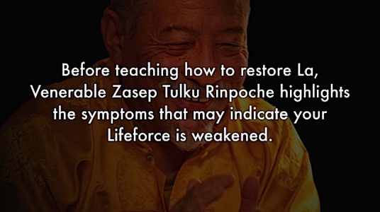 Buddha Weekly Symptoms of losing La Zasep Tulku Rinpoche Buddhism