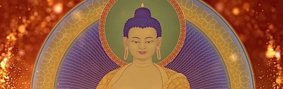 Buddha Weekly Visualizaton Shakyamuni Buddha Close Up Buddhism