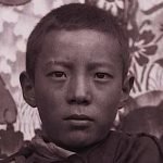 Buddha Weekly Cover A Tulkus Journey from Tibet to Canada book Buddhism