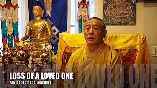 Buddha Weekly Zasep Tulku Rinpoche Advice for Students on Bereavement loss of loved one Buddhism