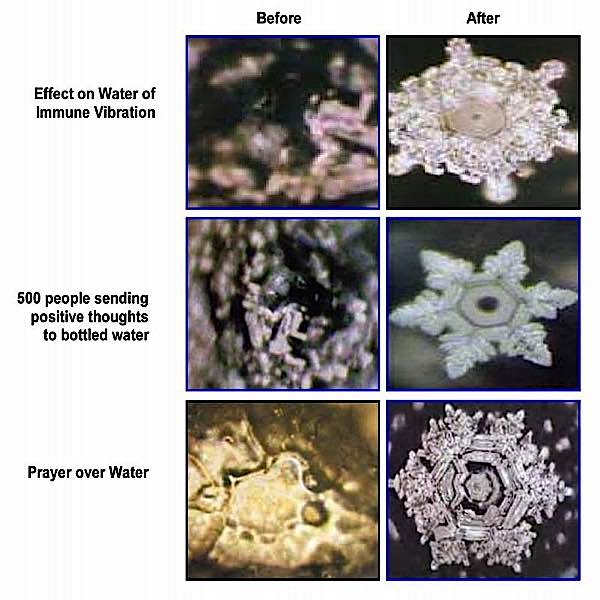 Buddha Weekly Before After Water Masaru Emoto Buddhism