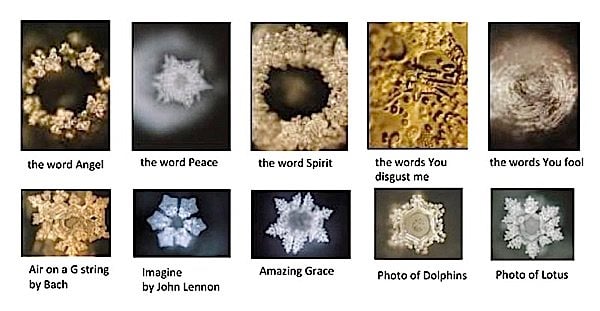 Buddha Weekly Crystal code of water Masaru Emoto Buddhism