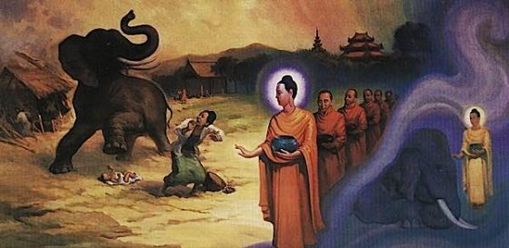 Buddha Weekly Abhaya Mudra Buddha Subdues the fierce elephant released by Devadatta Buddhism