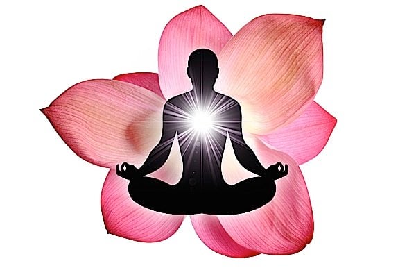 Buddha Weekly Buddha Nature represented by light and the Lotus Buddhism