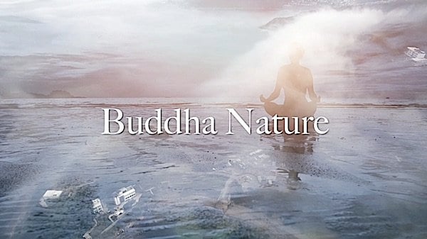 Buddha Weekly Buddha Nature Video Zasep Tulku Rinpoche Buddhism