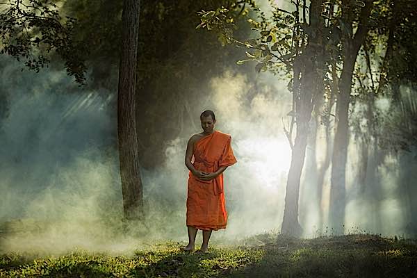 Buddha Weekly Walking Meditation Buddhist Monk in Forest Buddhism