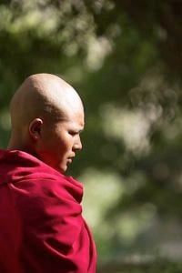 Buddha Weekly Young Buddhist Nun in Julichun India July 27 2012 Buddhism