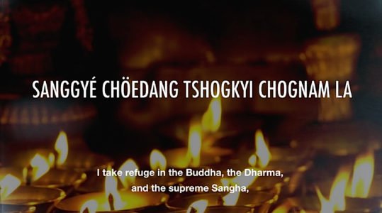 Buddha Weekly Refuge in Budddha Dharma and Sangha Buddhism