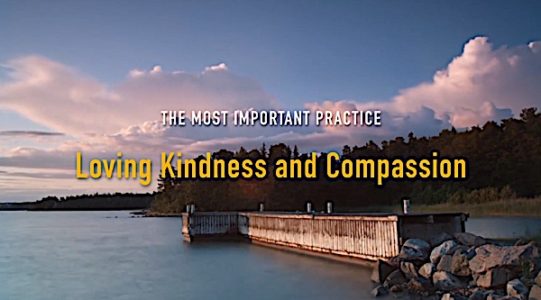 Buddha Weekly Featuring Loving Kindness and Compassion the most important Buddhist practices Buddhism