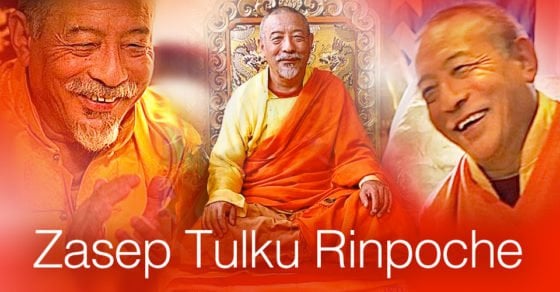 Zasep Tulku Rinpoche 960 2