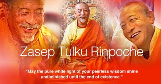 Zasep Tulku Rinpoche 960