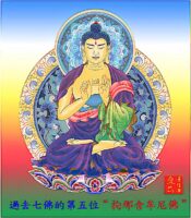 7 Buddhas 5th Kanakamuni 拘那含牟尼佛Buddha Weekly