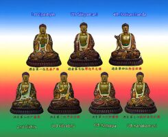 7 Buddhas treference 2Buddha Weekly