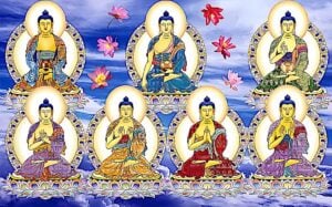 7 Past Buddas not in ordersBuddha Weekly