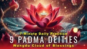 9 enlightened padma deities wang 1