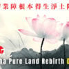 Amitabha Pure Land Rebirth Dharani 拔一切業障根本得生淨土陀羅尼 往生咒 MV. 4