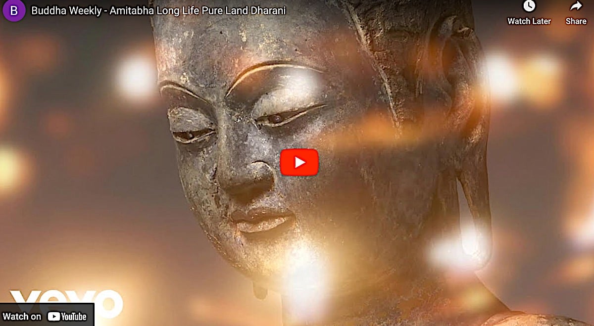 Buddha Weekly Amitabha Music Video on Vevo Apple Music Youtube and more Buddhism