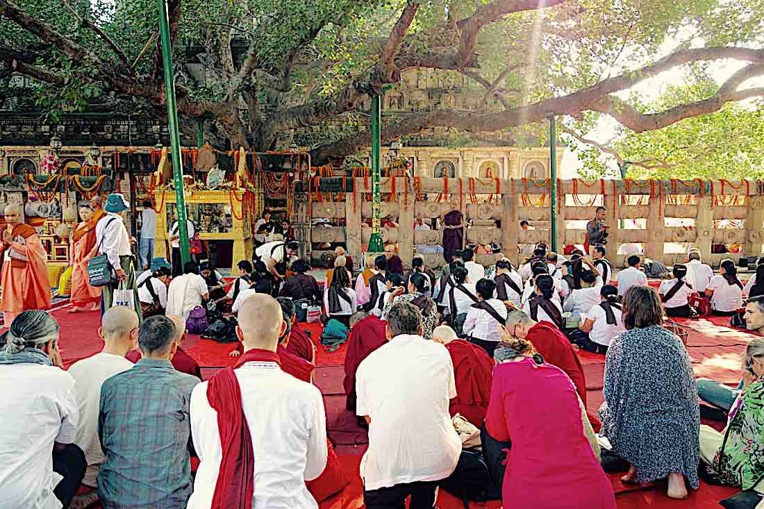 Buddha Weekly Bodhgaya Buddhism