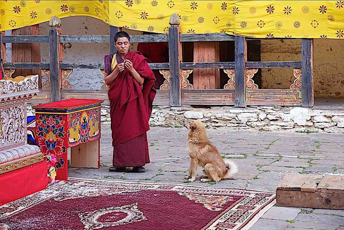 Buddha Weekly Buddhist Dog with Monk at temple Jakar Dzong Bhutan Buddhism