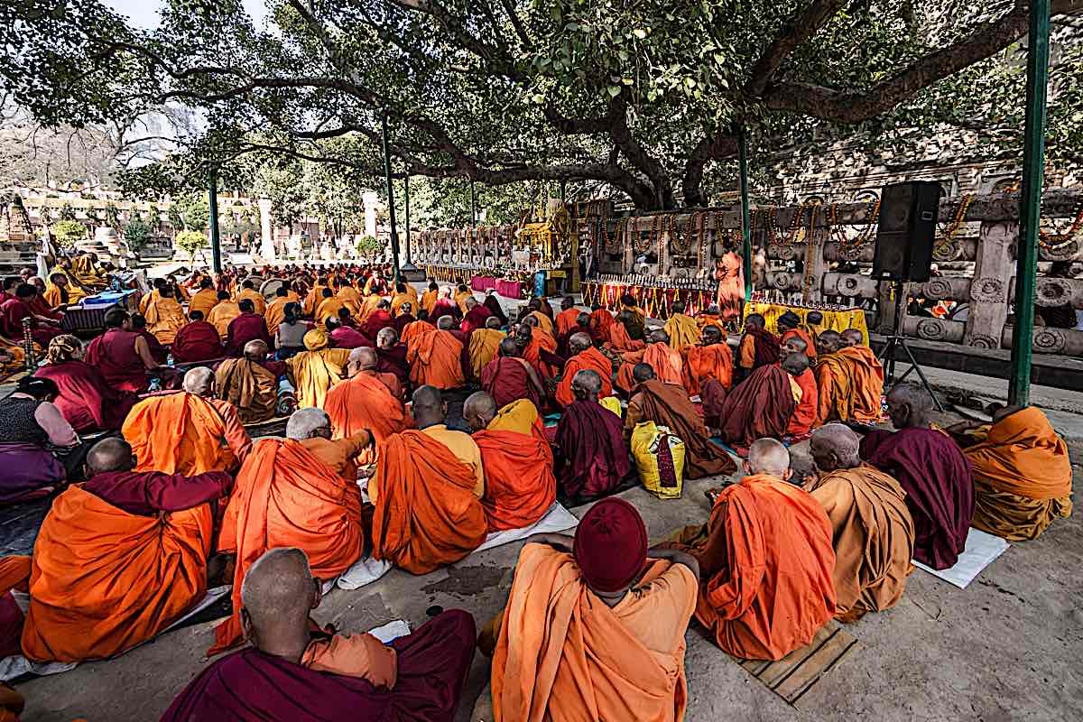 Buddhist Monks sitting under the ancestor of the Bodhi Tree under which Shakyamuni Buddha attained Enlightenement in  Bodhgaya India.