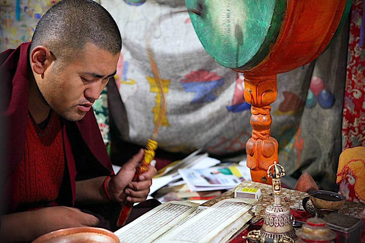 Buddha Weekly Buddhist monk praying morning playing drum Thicksey Gompa Ladakh India dreamstime l 21304662 Buddhism