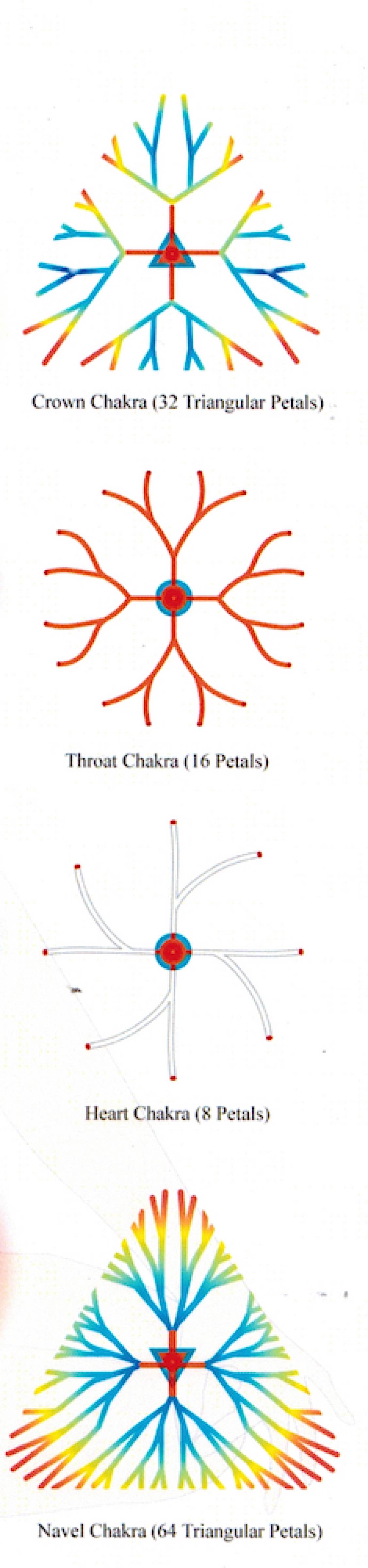 Buddha Weekly Chakra petals Buddhism