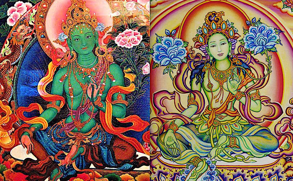 Buddha Weekly Comparing Green Tara left and Chittamani Tara right with two uptala flowers Buddhism