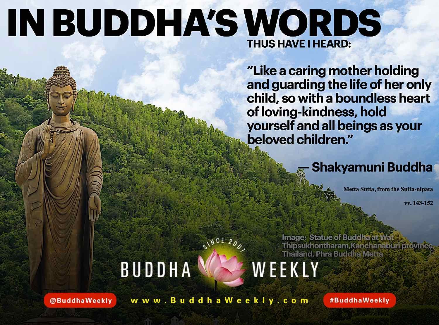 In Buddha S Words Daily Inspirational Buddha Quotes With Citations Separating The Real From The Fake Buddha Weekly Buddhist Practices Mindfulness Meditation