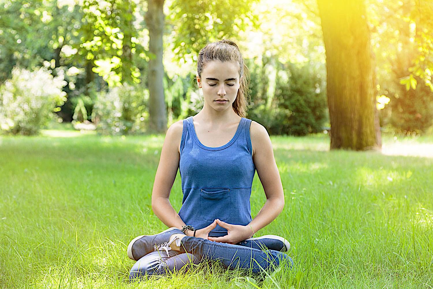 Buddha Weekly Lotus Zazen in a park dreamstime l 77577523 Buddhism