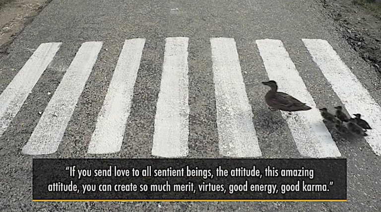 Buddha-Weekly-Medicine Buddha sending love to all sentient beings merti ...