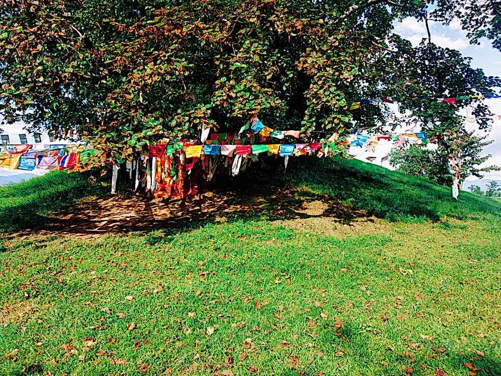 Buddha Weekly Ramgram Stupa 15 Buddhism