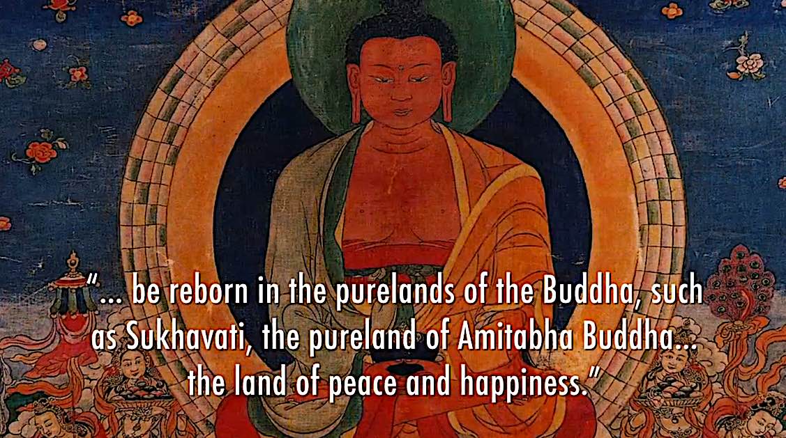 Buddha Weekly Reborn in the purelands of Amitabha Buddha Buddhism