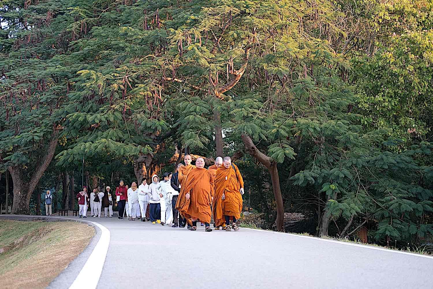 Buddha Weekly Remaining Mindful while walking here in Thailand with a Buddhist monk dreamstime l 167035113 Buddhism